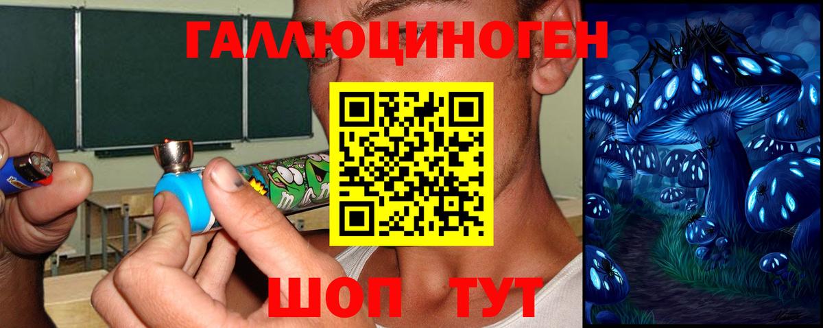 Псилоцибиновые грибы Psilocybe Липецк